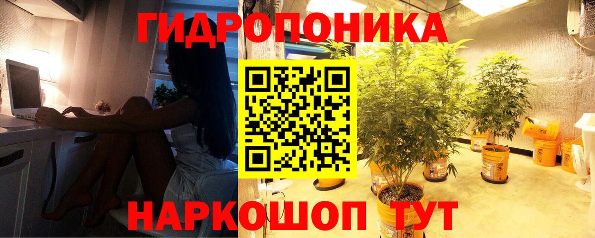 Бошки марихуана THC 21% Моршанск